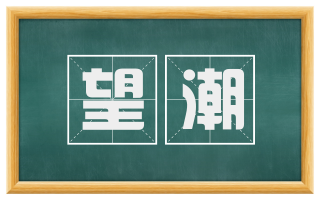 望潮