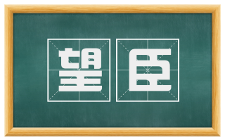 望臣