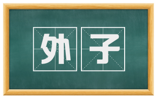 外子