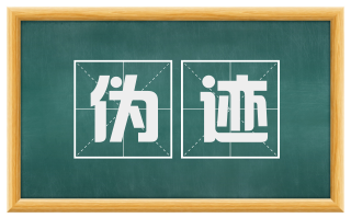 伪迹
