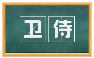 卫侍