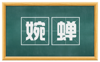 婉蝉