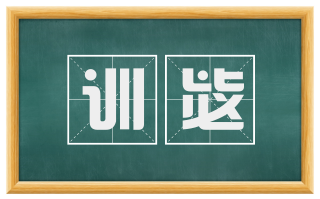 训毖