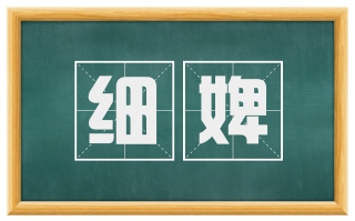 细婢