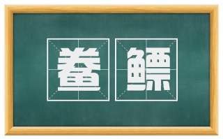 鲞鳔