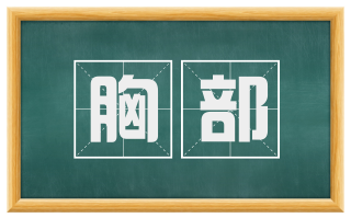 胸部