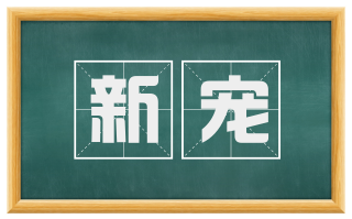 新宠