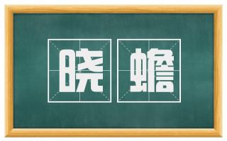 晓蟾