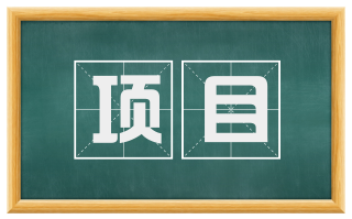 项目