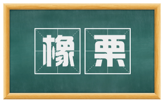 橡栗