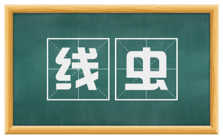 线虫