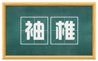 袖椎
