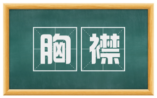 胸襟