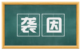 袭因