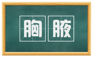 胸腋