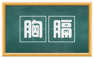 胸膈