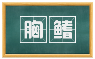 胸鳍