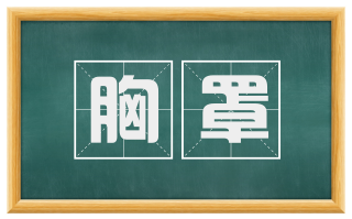 胸罩