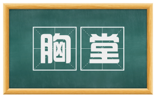 胸堂