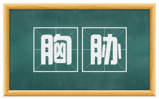 胸胁