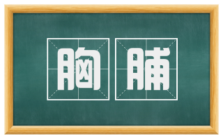 胸脯