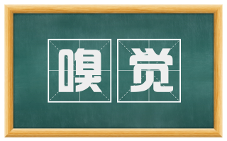 嗅觉