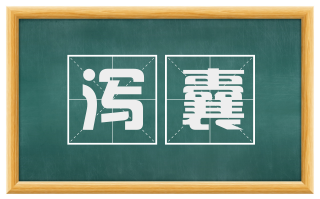 泻囊