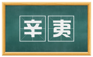 辛夷