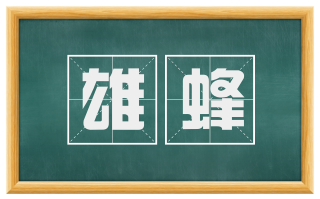 雄蜂