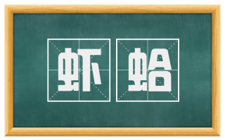 虾蛤