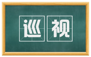 巡视