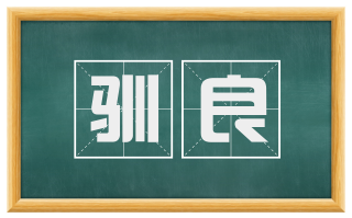 驯良