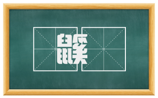 鼷鼲
