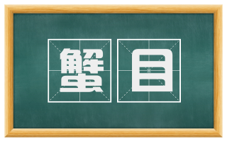 蟹目