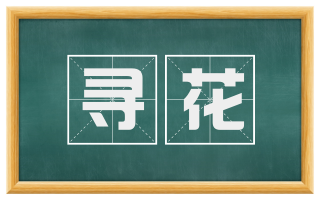 寻花