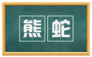 熊蛇