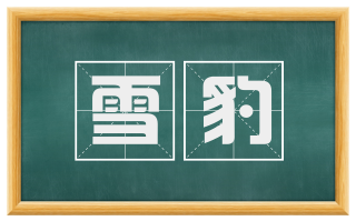 雪豹