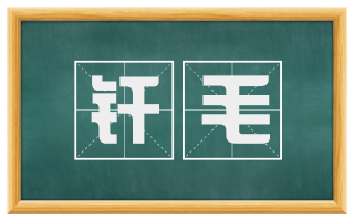 纤毛