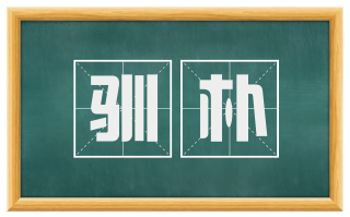 驯朴