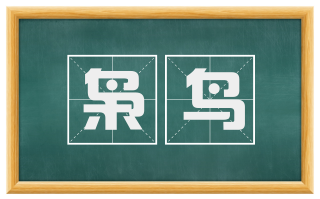 枭鸟