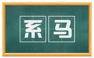 系马