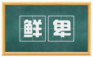 鲜卑