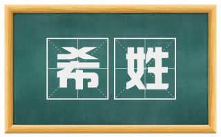 希姓