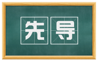 先导