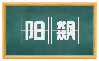 阳飙