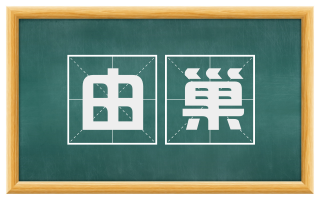 由巢