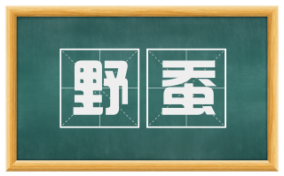 野蚕