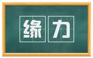 缘力