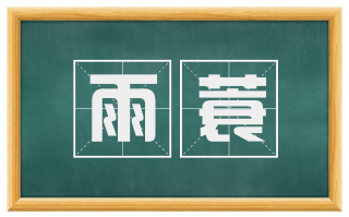 雨蓑