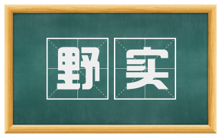 野实